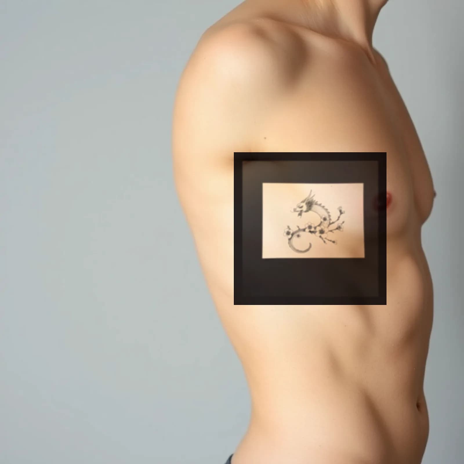 Dragon and Cherry Blossom Branch tattoo shown on the ribs