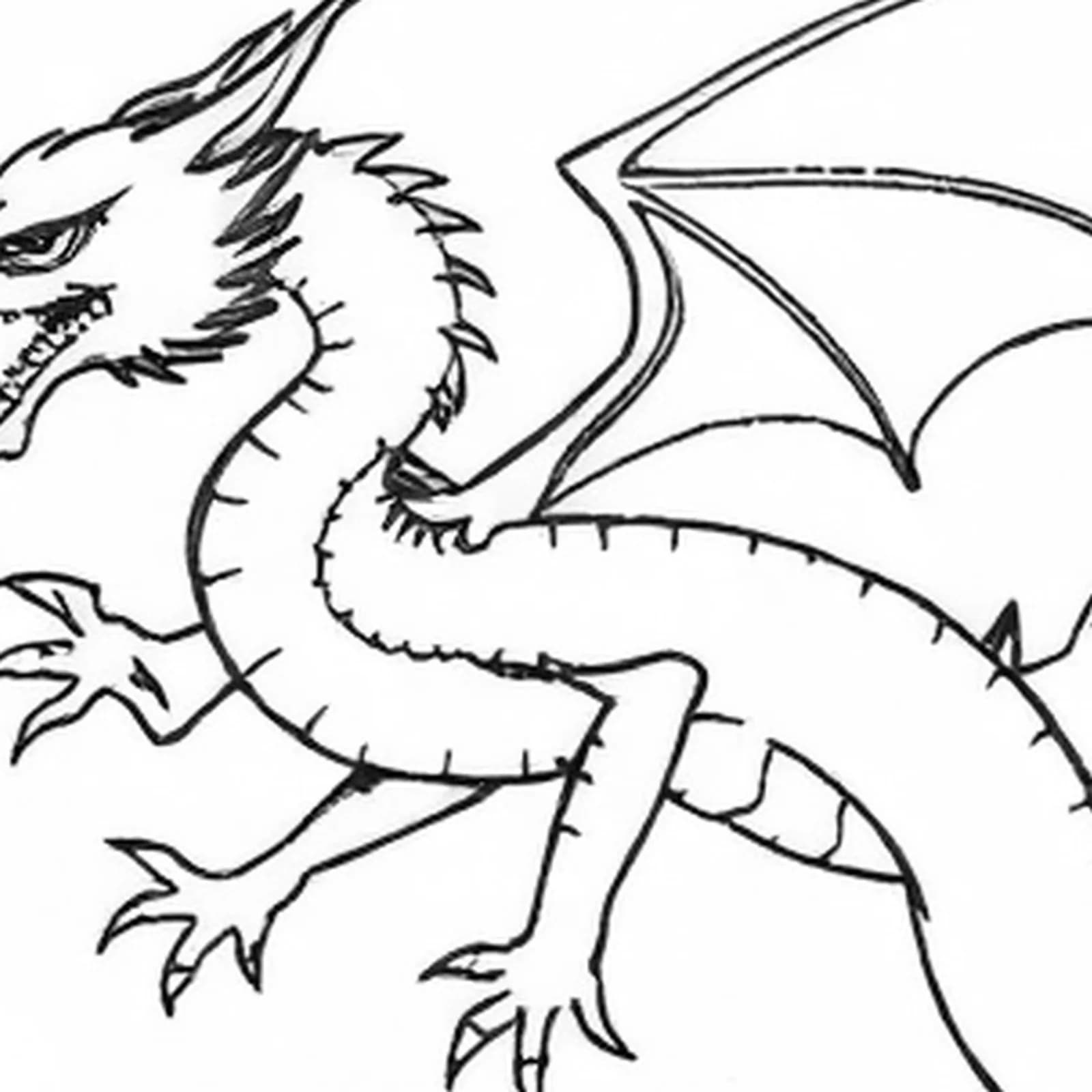 Delicate Dragon on Collarbone tattoo design, close-up detail